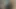 Close up oiled Kenyan Hairy Amateur gay gently rubbing his massive cock till he cums Infront of the camera