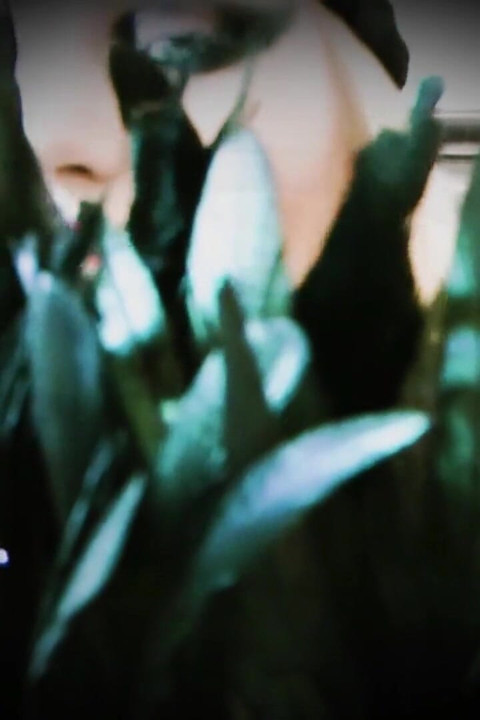 Brain Washed Under My Effects