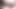 TGIRLS.XXX: Our American Rose