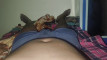 Pregled videozapisa