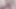 Lily phillips macht doppelpenetration mit 2 großen schwänzen, die mit anal & Vag creampies enden