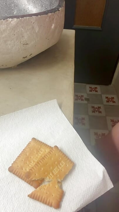 He cums on my cookies and I eat them