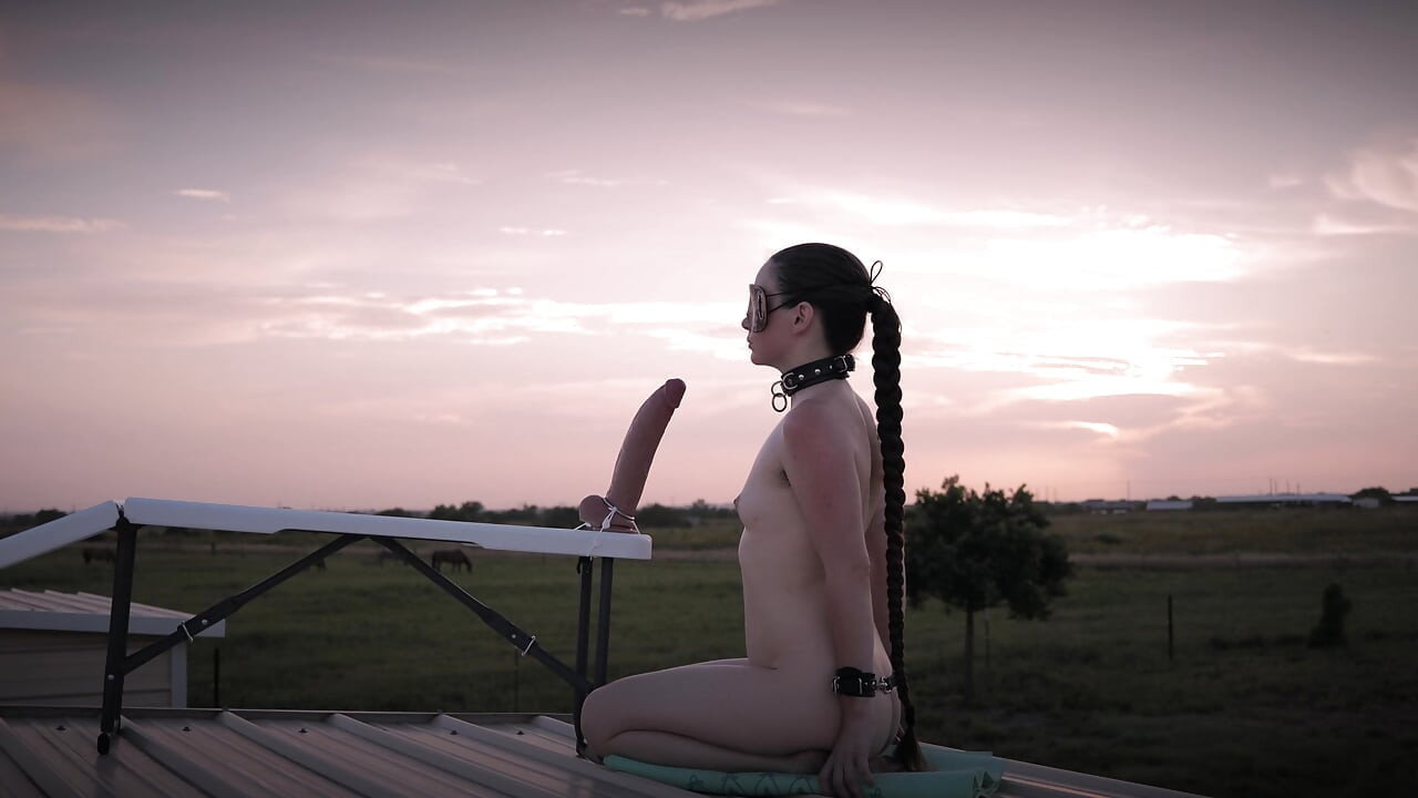 Criatura algemada e chupando ao pôr do sol