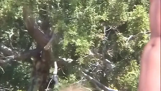 When the Cock Got to Mars...