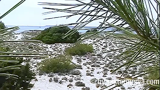 MILF Telanjang Seksi Di Pantai Nudist