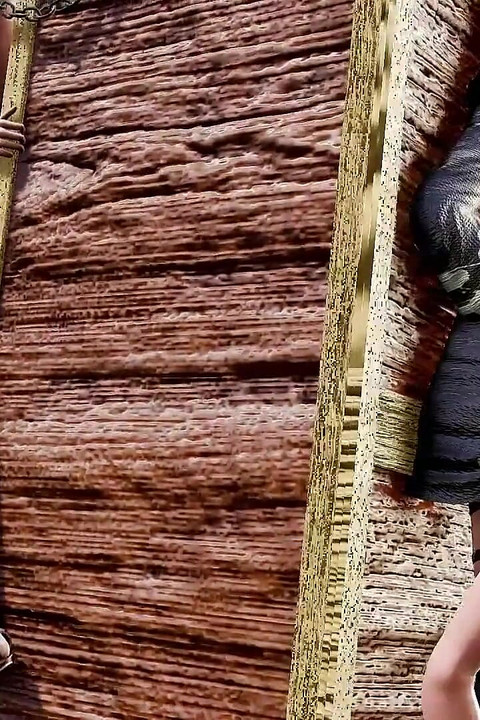 Bang Box (futa Shemale)