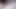 xHamster video 31