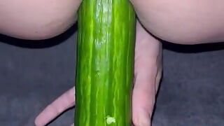 Kort plezier met mijn komkommer anaal