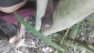 Vrijgezellenjongenboom in het bos seksvideo