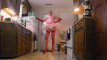 Pregled videozapisa