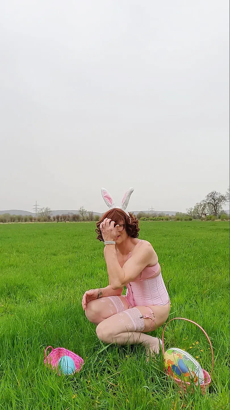 bunny alone with her balls in the green field