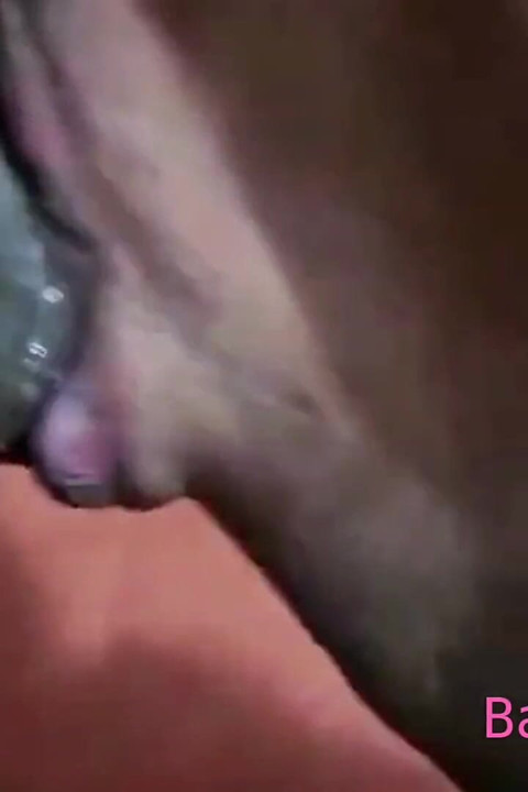 Real Best Blowjob Part 3