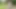 Trans teen flashing big tits and cock with masturbation