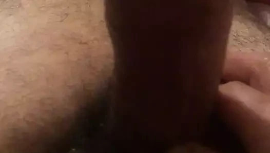 güzel büyük temiz horoz