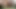 My first video Using URETHRAL SOUNDING Cum Through and Cum ROPES