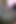 Mor tutku v.1 3 videolar