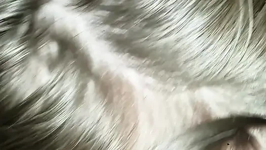 Eva and Veronica comp Part II