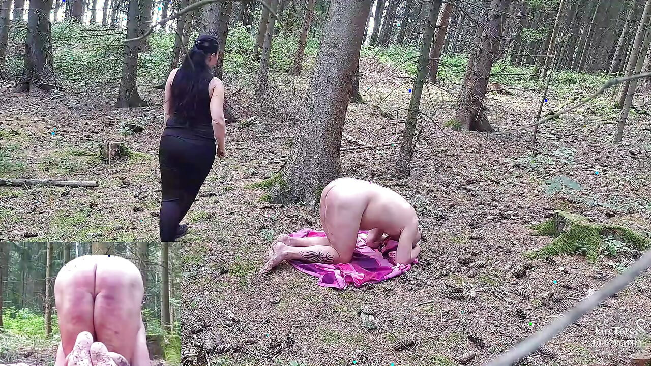 Cane se lo mena nella foresta 1