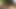 スニフNソックス