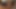 The Secret World of Private Videos, Issue #7