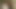 British slut analized while throating toycock