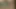 Kıçına bir bbc almanın nasıl bir şey olduğunu göster ona