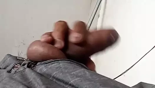 Hintli desi lund