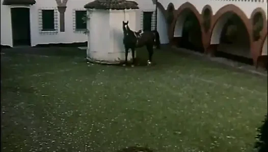 Pirang cantik mengisap kontol ngentot di kastil