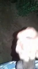 Gay