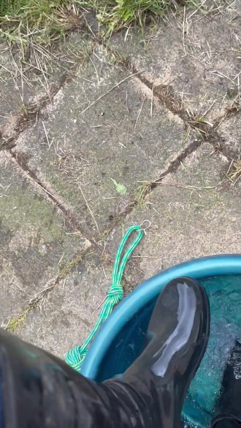 在我的雨衣裡噴涌。我還應該在他們身上得到什麼？？