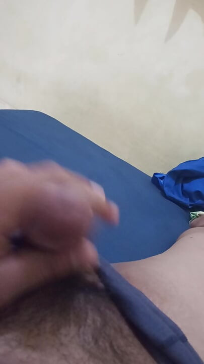 Coli sange beratt