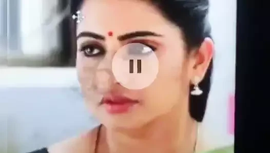 Acterss cum tribute collection