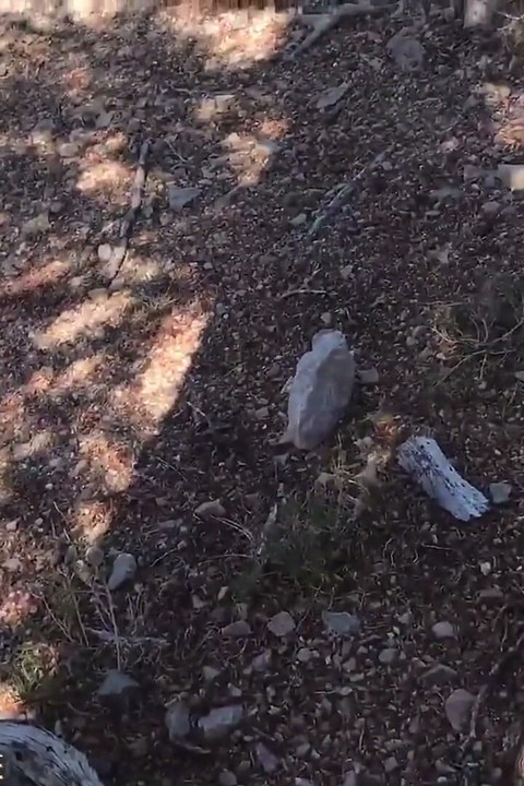 Çinli kız arkadaşımı dağda sikiyorum sonra yatak odasında