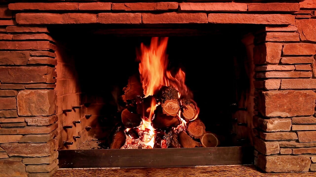 Bears in a Hot Hibernation