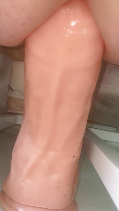 리처드 스톰 장난감 재미 아마추어