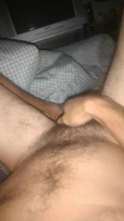 Hairy bear