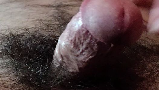 Hairy Close up Cock Dick Balls Ass Cumshot