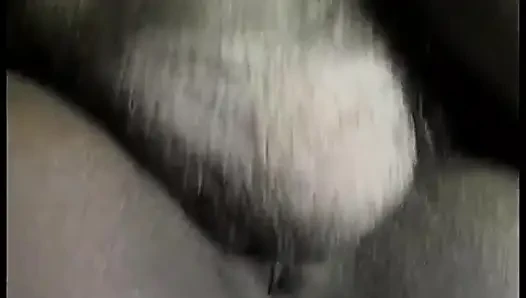 Cewek kulit hitam panas lepas baju lalu nyepong kontol hitam besar