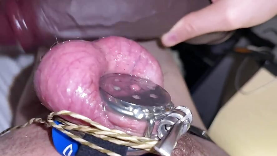 Sedy Ladyboy does a Thousand Ball Plappies while gooning for the BNWO