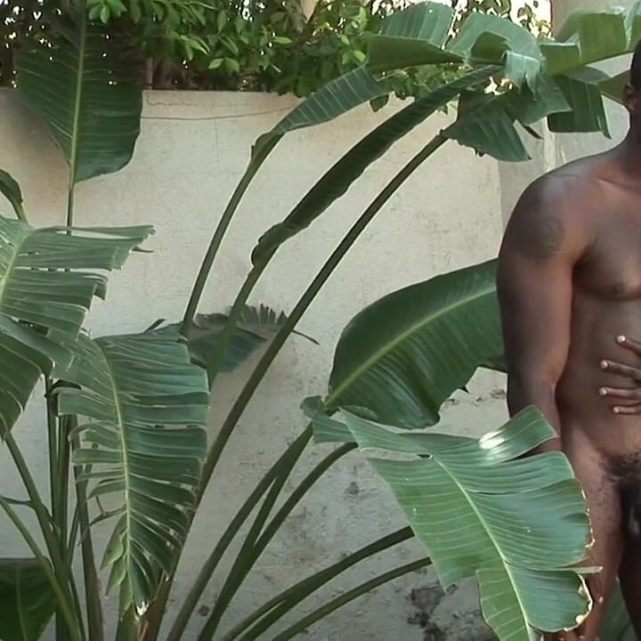 Anubis