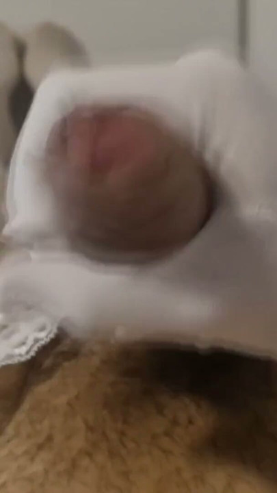 Sissy Cumshot Compilation | Clip 1