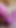 Spectacular moment from "Making myself orgasm in cum stained pink panty"