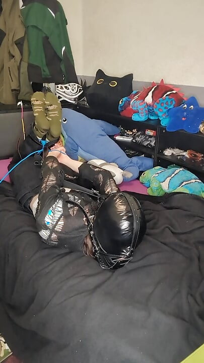 zkouším head harnes hogtie