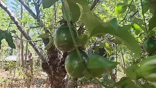 Outdoor-romantik schönes virales MILf-video