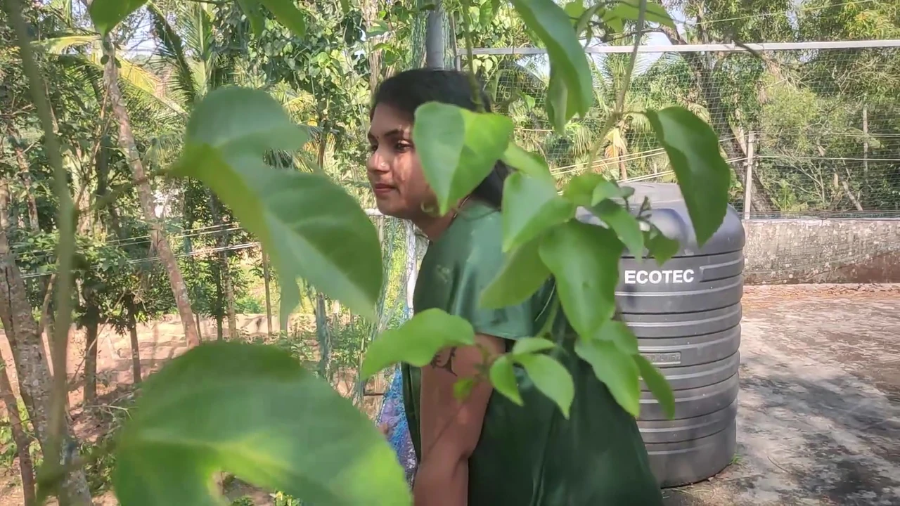 Out door sex, Vaishnavy and Sharun Raj out door romance and sex, Mallu couple hot romance with sex in terrace