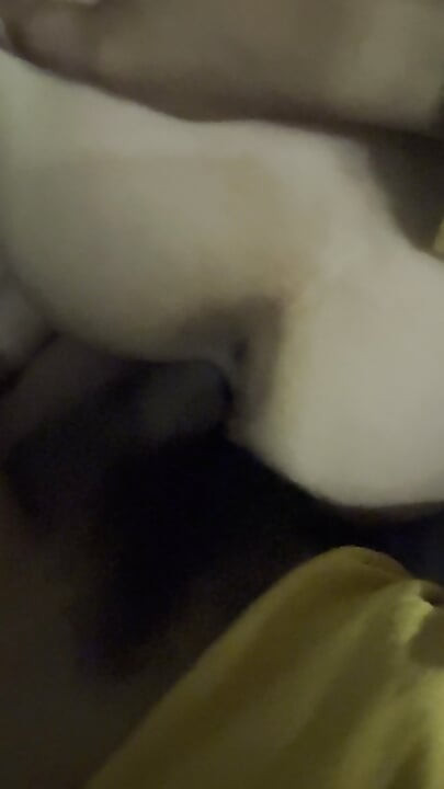 Amateur couple midnight side fuck