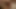 Raj! Privatni obrnuti trojac harem s creampie zabavom do jutra! Dio 3