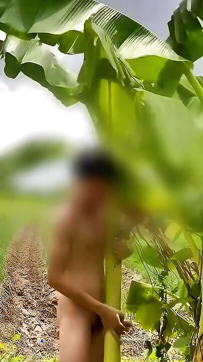 Thai guy fuck banana tree