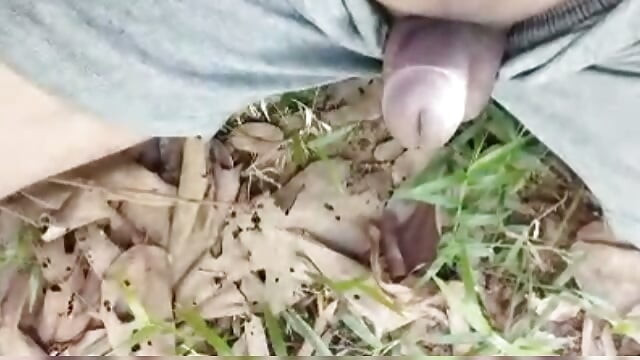 オナニー