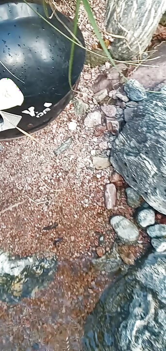 Sodomie sur la rivière pendant une randonnée